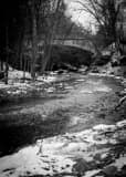 Vertical Mill Creek black and white Photos