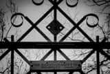 Horizontal The Top of the Cinderella Bridge black and white Photos