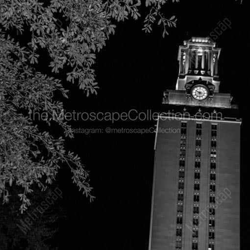 The UT Tower at Night -- Austin Black and White Wall Art