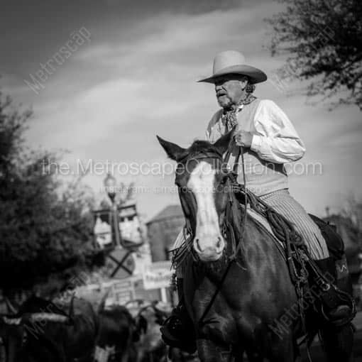 A Fort Worth Cowboy -- Fort Worth Black and White Wall Art