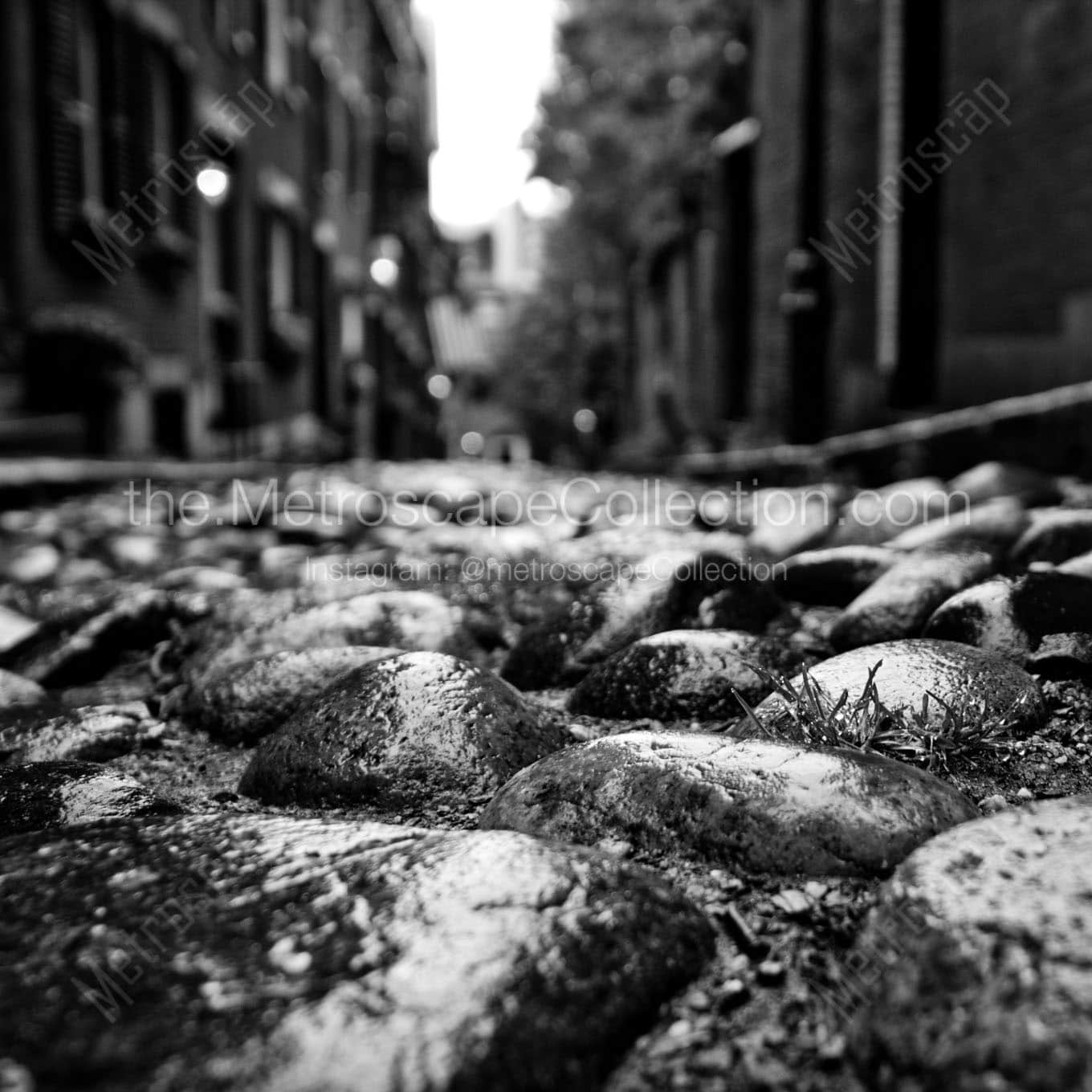 The Cobblestones on Acorn Street Wall Art square crop