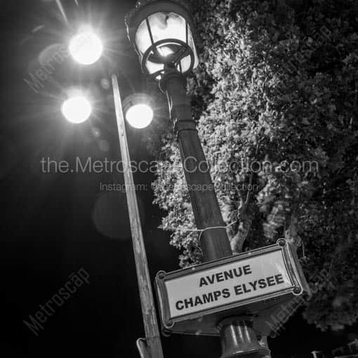An Avenue Champs-Elysee Lamp Post -- Paris Black and White Wall Art