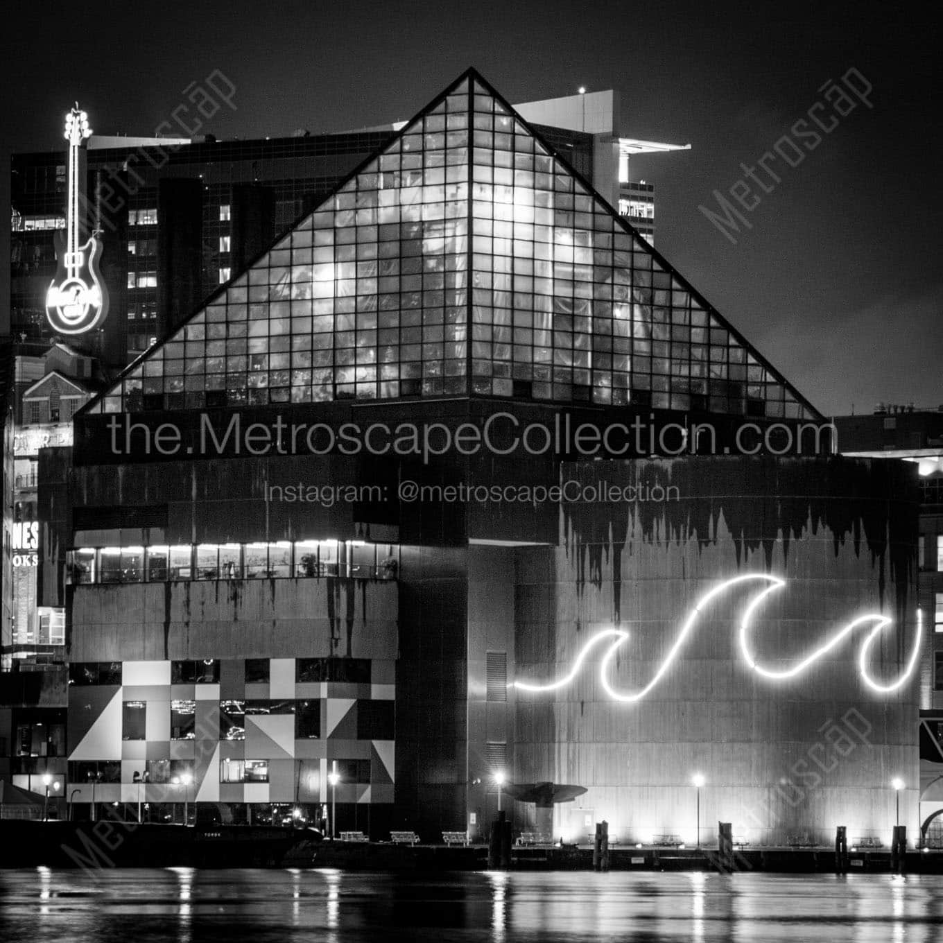 The Baltimore Aquarium Wall Art square crop