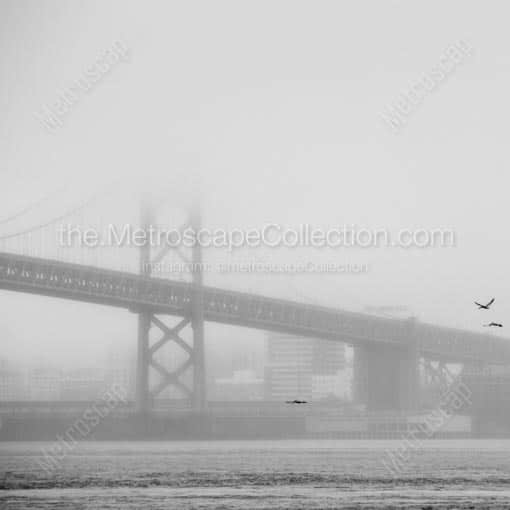 The Bay Bridge under Dense Fog -- San Francisco Black and White Wall Art