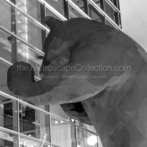 The Big Blue Bear at the Denver Convention Center -- Denver Black and White Wall Art