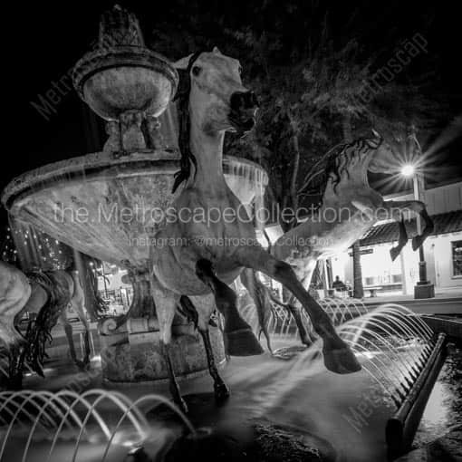 The Bob Parks Horse Fountain -- Phoenix Black and White Wall Art