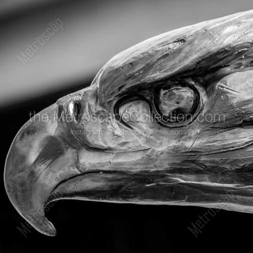 A Bronze Bald Eagle -- Washington DC Black and White Wall Art