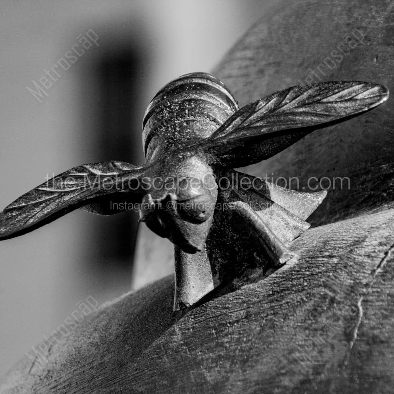 A Bronze Bee Wall Art square crop
