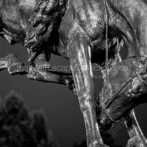 Close up of the Bronze Bronco Statue in Civic Center Park -- Denver Black and White Wall Art