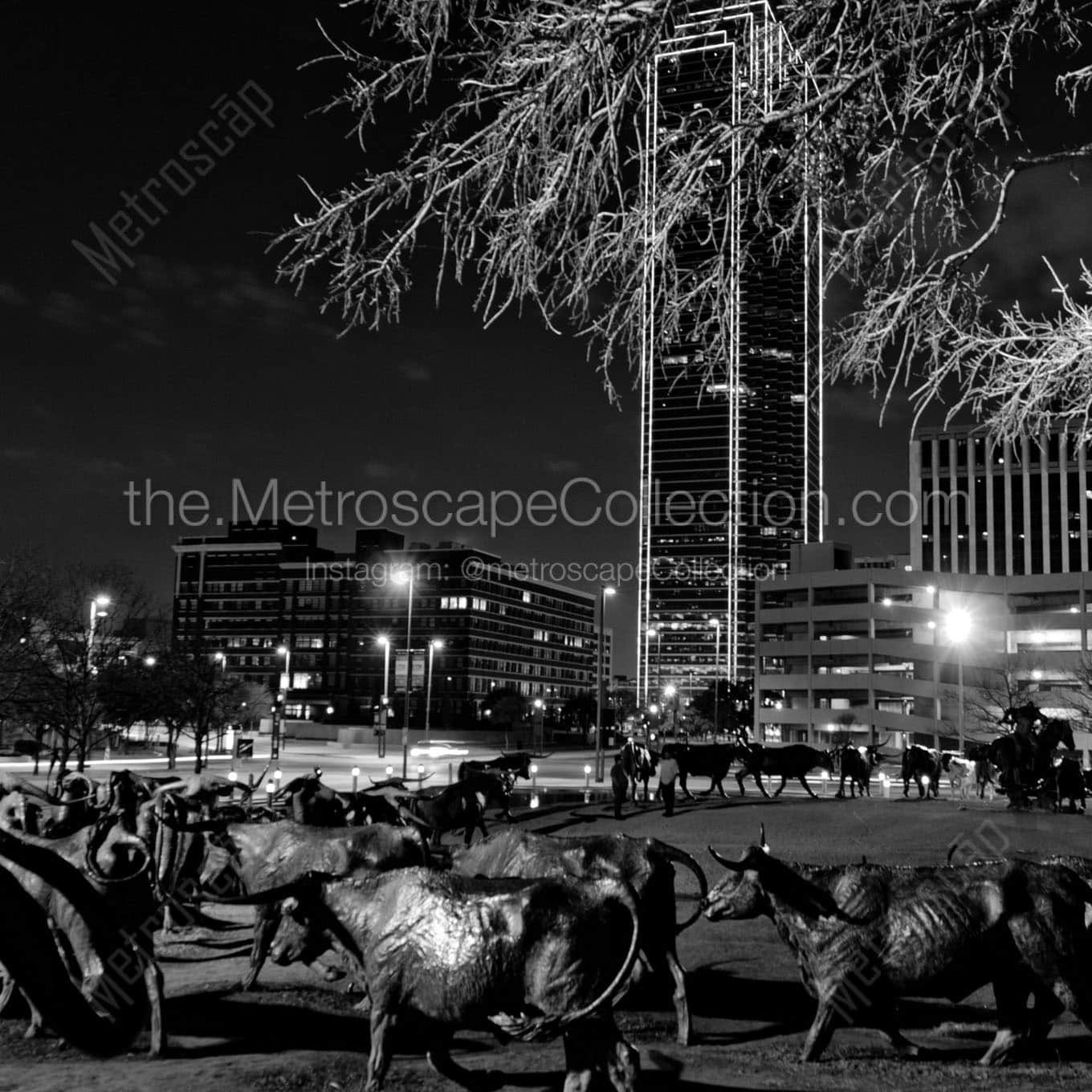 The Bronze Cattle Drive in Dallas Wall Art square crop