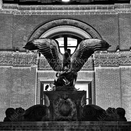 A Bronze Eagle with Spread Open Wings -- Omaha Black and White Wall Art