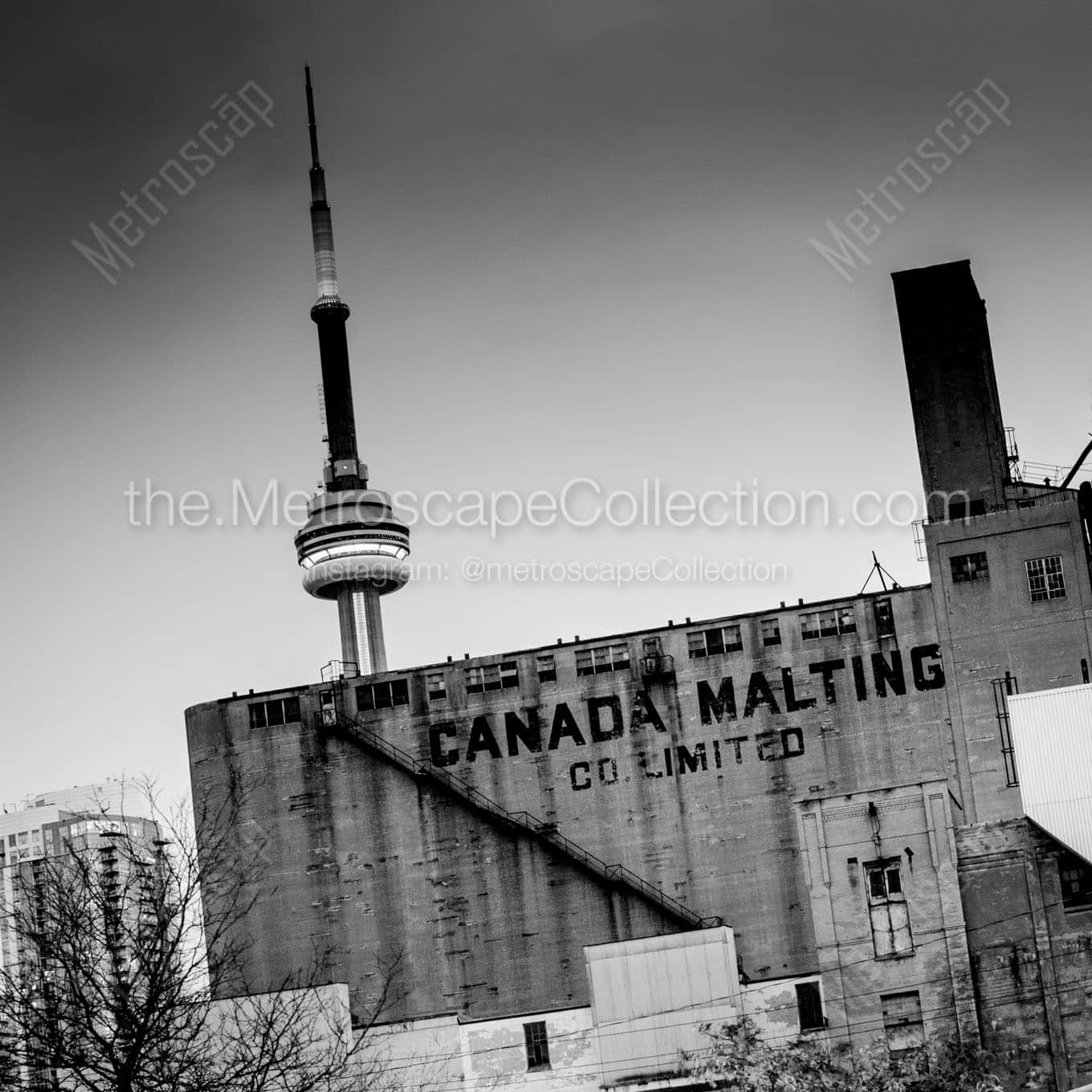 The Canada Malting Factory and CN Tower Wall Art square crop