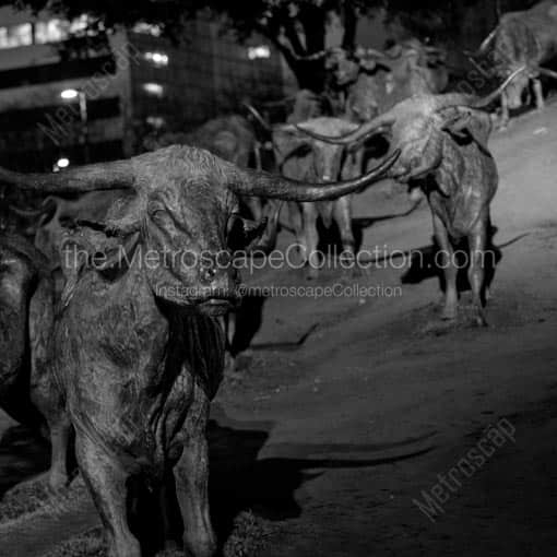The Cattle Sculptures in Pioneer Plaza -- Dallas Black and White Wall Art