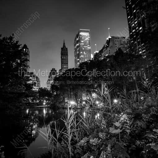 The Pond at Night -- New York City Black and White Wall Art