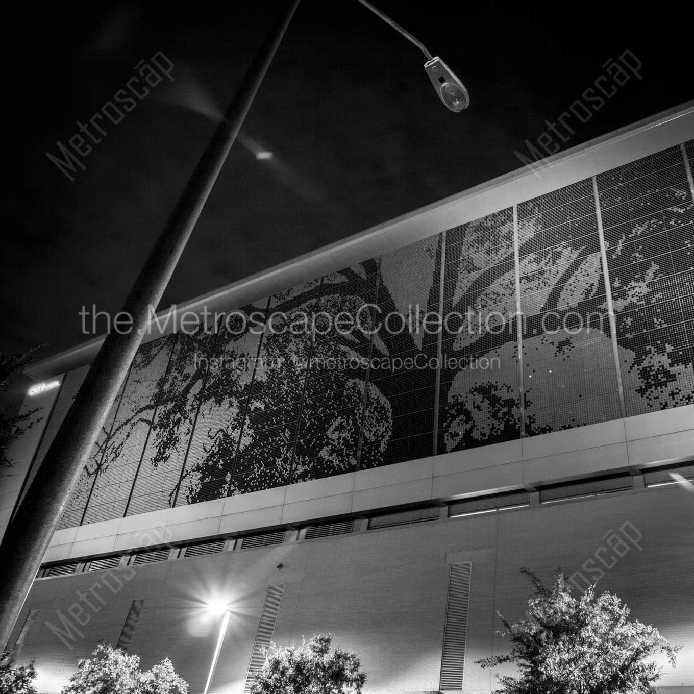 The City of Oaks Wall Art square crop