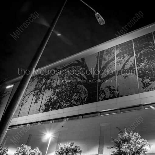 The City of Oaks -- Raleigh Black and White Wall Art