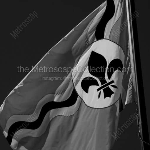 The City of St Louis Flag -- St Louis Black and White Wall Art