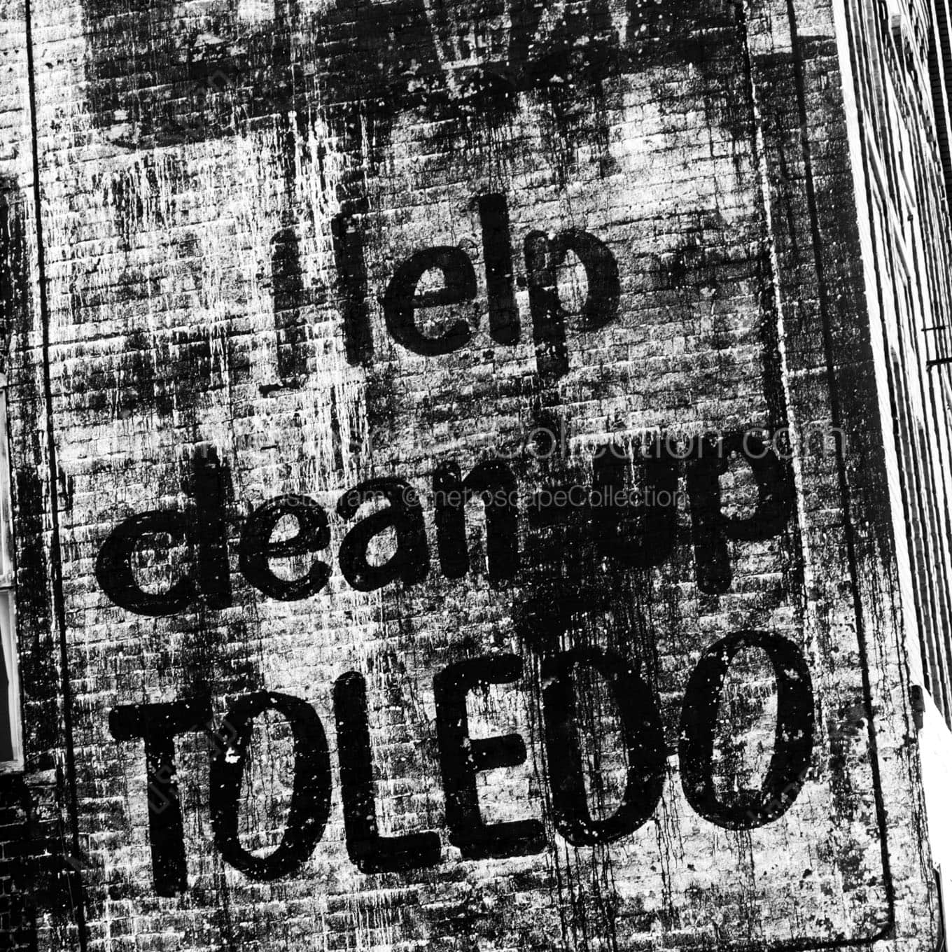 Help Clean Up Toledo Wall Art square crop