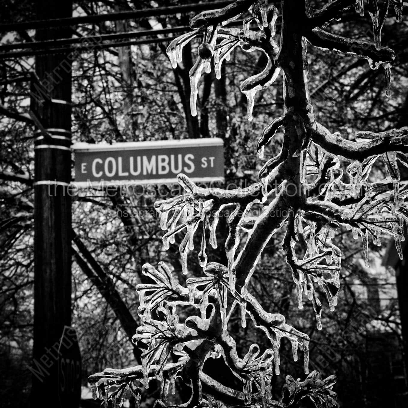Columbus Street in German Village Wall Art square crop