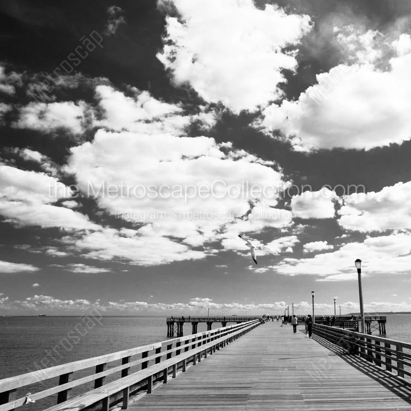 A Sea Gull Swoops Down on to the Coney Island Pier Wall Art square crop