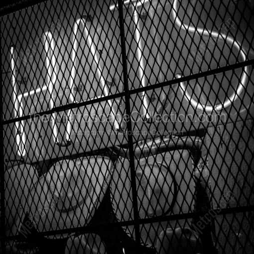 Cowboy Hats -- San Antonio Black and White Wall Art