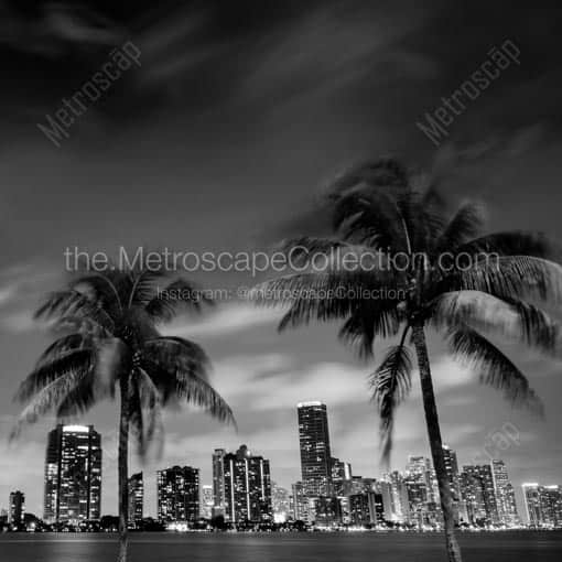 The Downtown Miami Skyline at Night from Rickenbacker Causeway -- Miami Black and White Wall Art