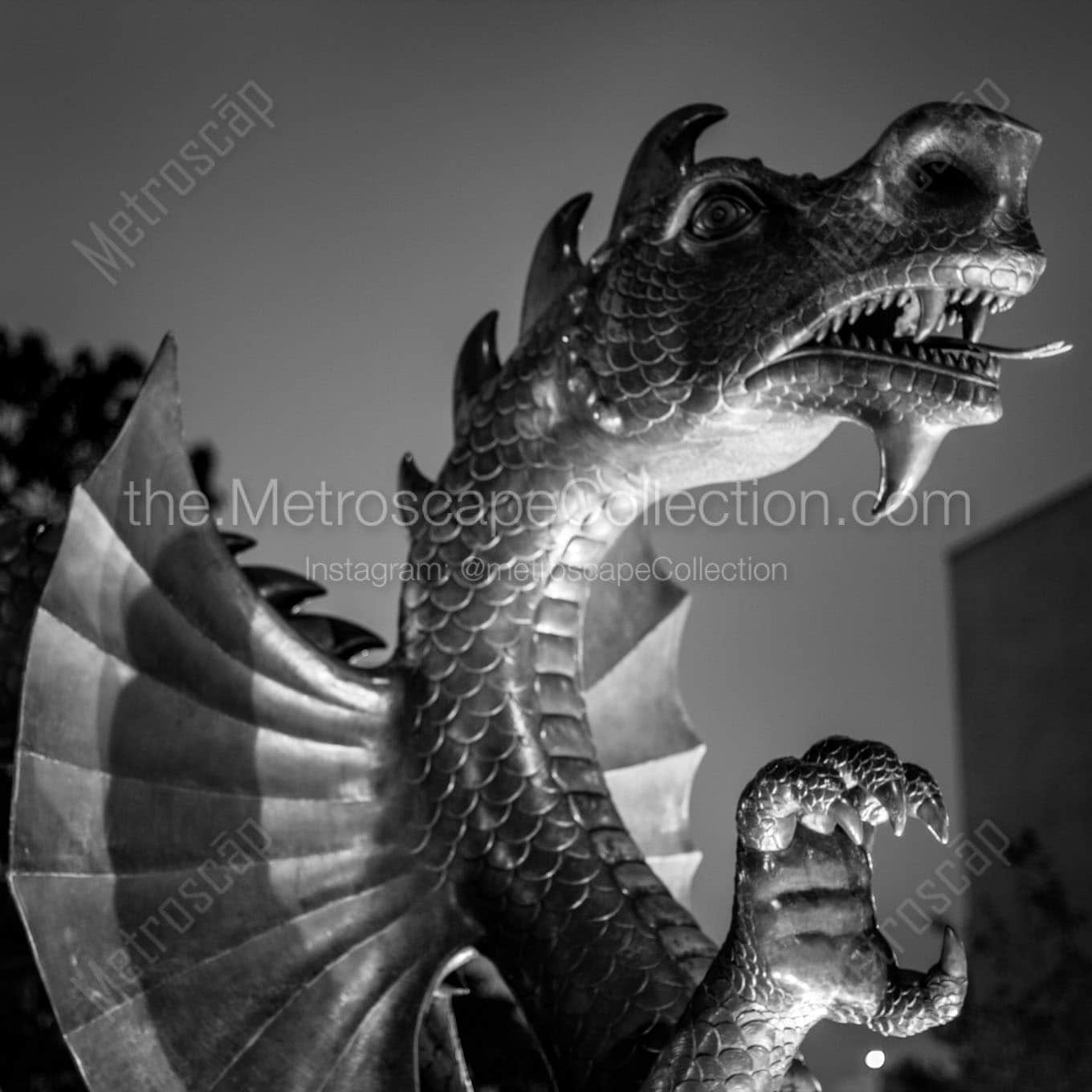 The Drexel Dragon. Wall Art square crop