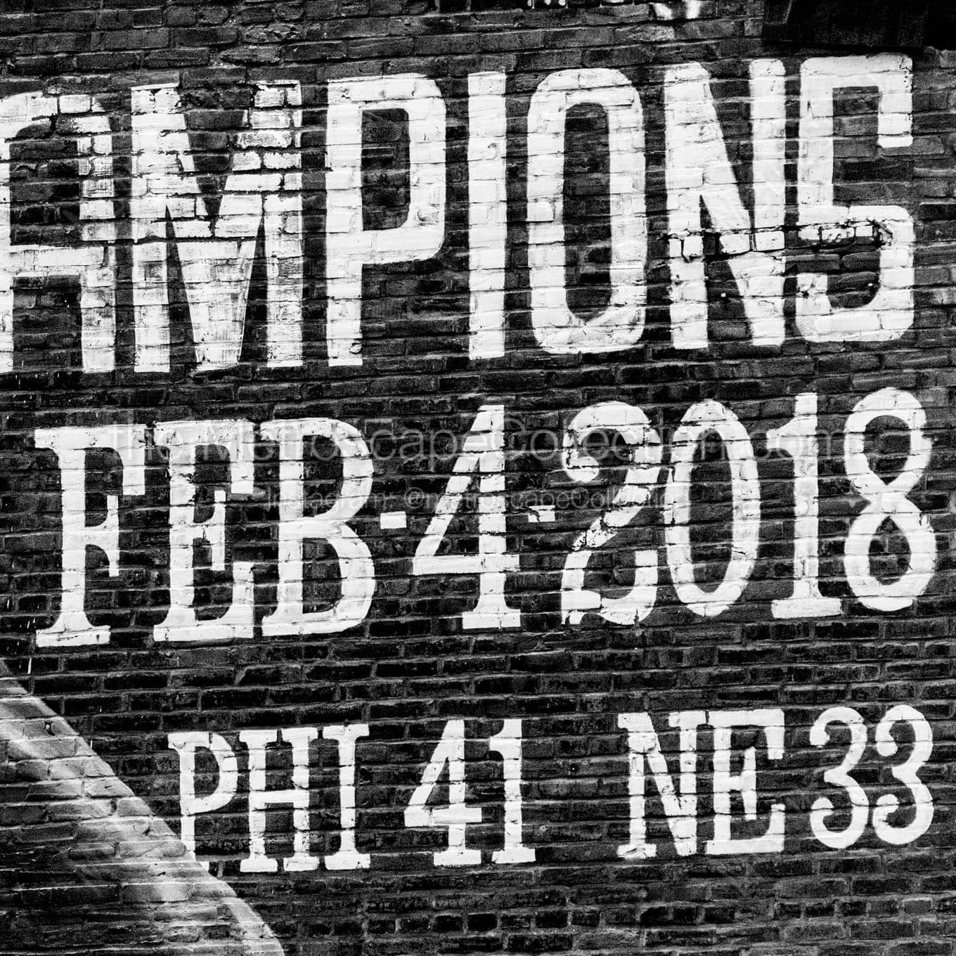 Eagles Superbowl LII Champions Mural Wall Art square crop