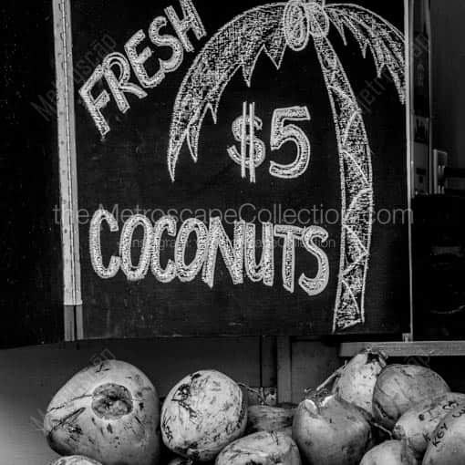 Fresh Coconuts -- Key West Black and White Wall Art