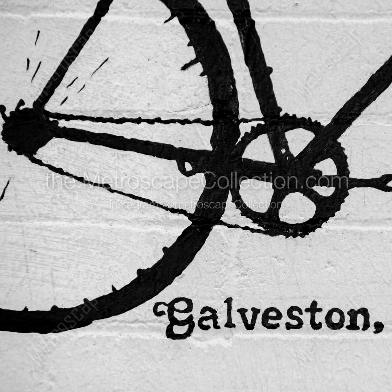 Galveston Texas Wall Art square crop