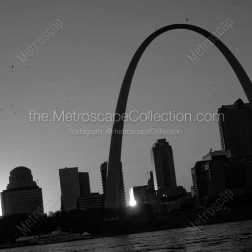 Birds Swirl Around the Gateway Arch over Saint Louis -- St Louis Black and White Wall Art