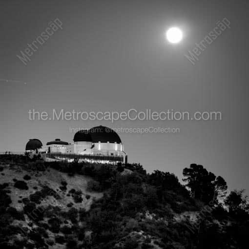 Griffith Park under the Super Moon -- Los Angeles Black and White Wall Art
