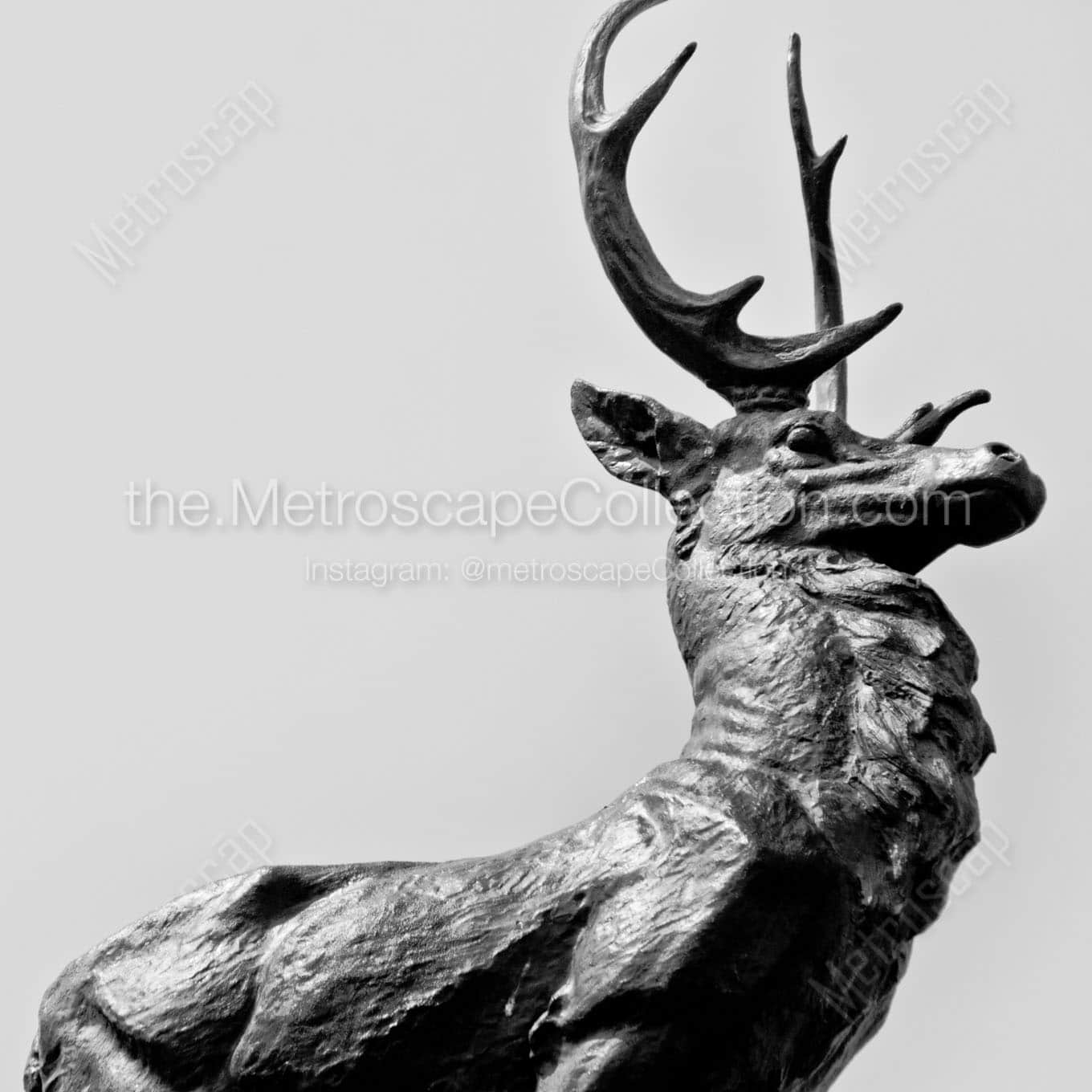 A Hartford Stag atop the Corning Fountain Wall Art square crop