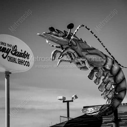 Hey George The Ocean Called -- Galveston Black and White Wall Art