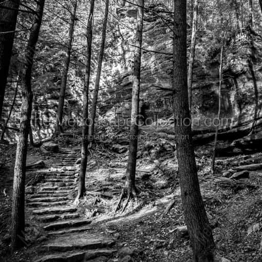 An Old Man's Cave Walking Trail -- Old Mans Cave Black and White Wall Art