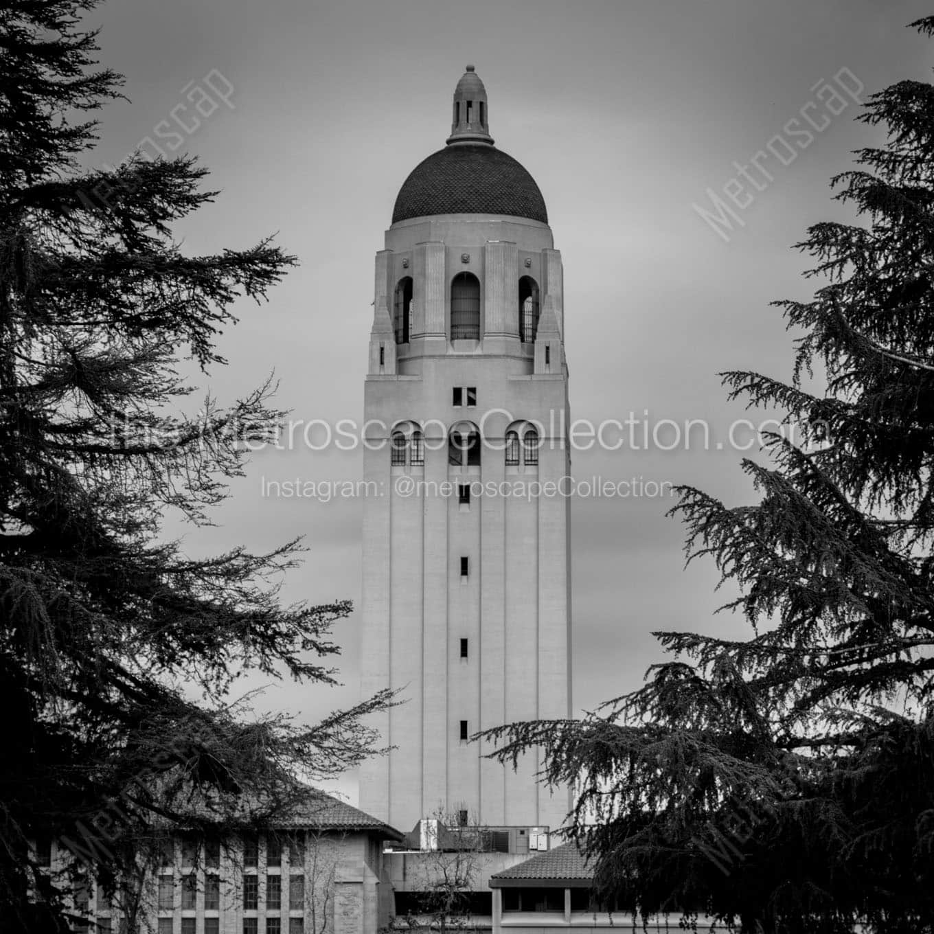 The Hoover Tower at Stanford Wall Art square crop
