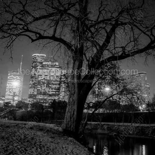 The Houston Skyline in Buffalo Bayou -- Houston Black and White Wall Art