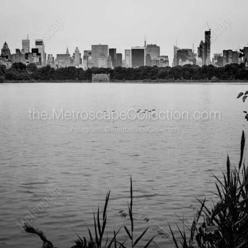 The New York City Skyline from Central Park -- New York City Black and White Wall Art