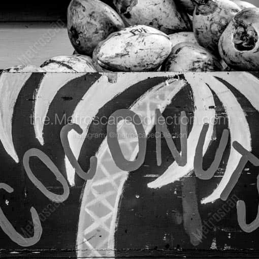 Key West Coconuts -- Key West Black and White Wall Art