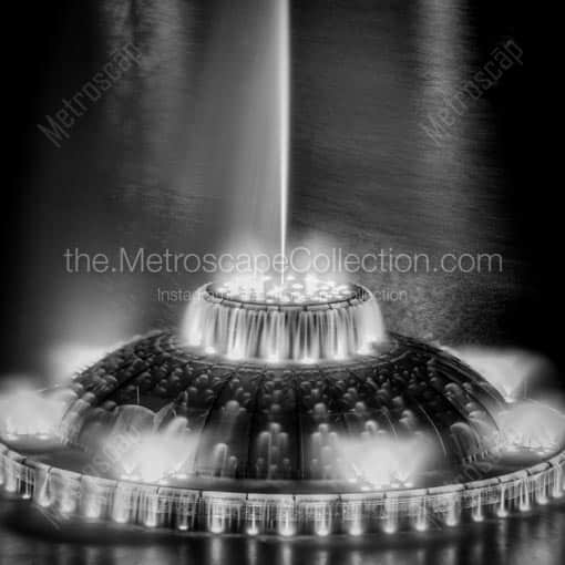 The Lake Eola Fountain from above -- Orlando Black and White Wall Art
