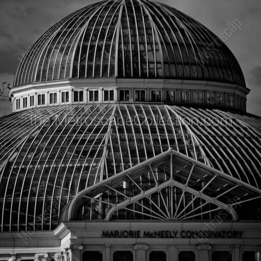 The Marjorie McNeely Conservatory -- St Paul Black and White Wall Art