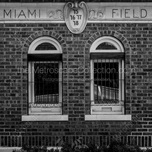 Miami Field -- Oxford Black and White Wall Art
