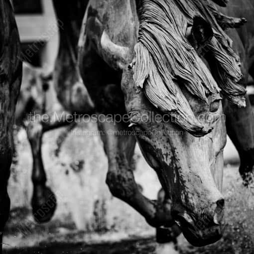 A Stallion in the Mustangs of Las Colinas Fountain -- Dallas Black and White Wall Art