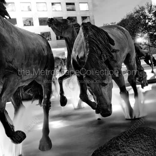 The Mustangs of Las Colinas Close Up -- Dallas Black and White Wall Art