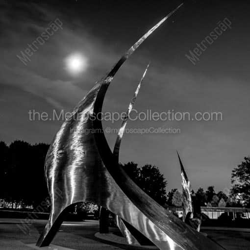 The Navistar Sculptures at Franklin Park Conservatory -- Columbus Black and White Wall Art