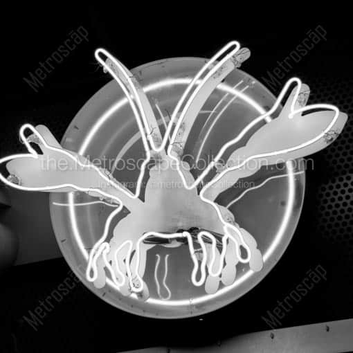 The Neon Lobster of J Gumbos on Fourth Street -- Louisville Black and White Wall Art