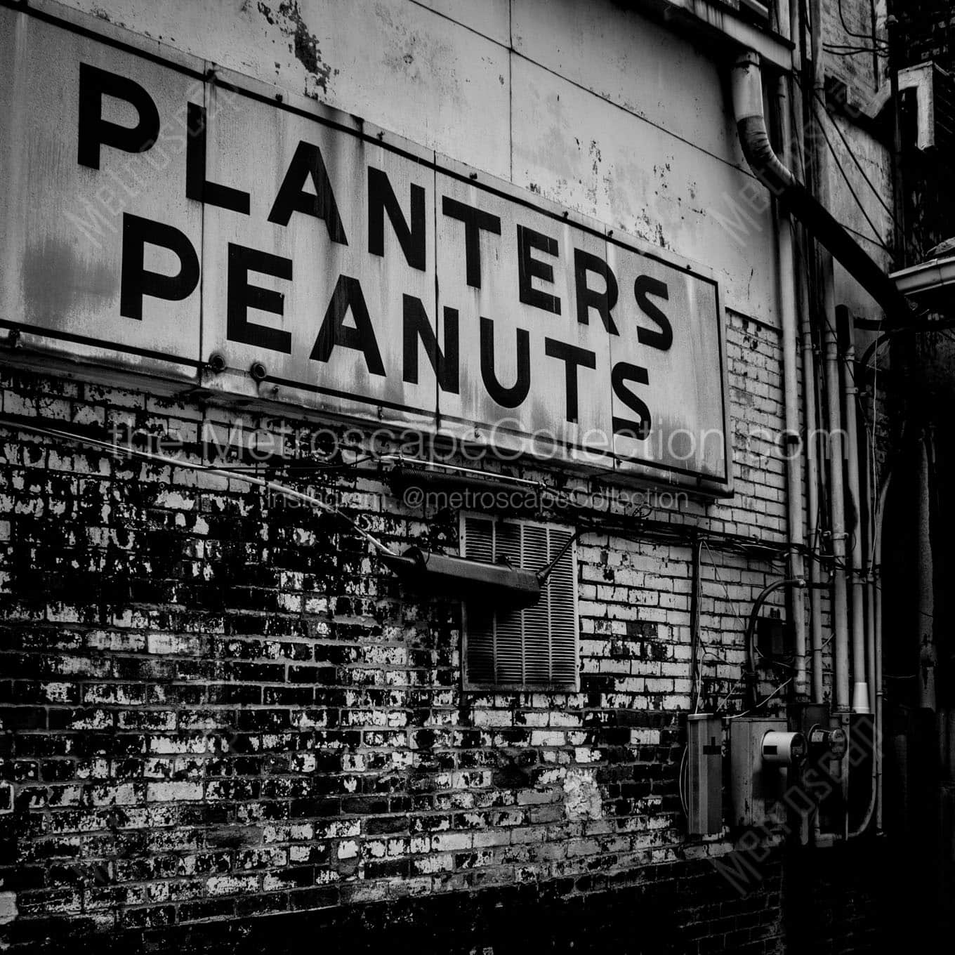 A Planters Peanut Shop Wall Art square crop