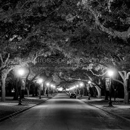 Rice University -- Houston Black and White Wall Art