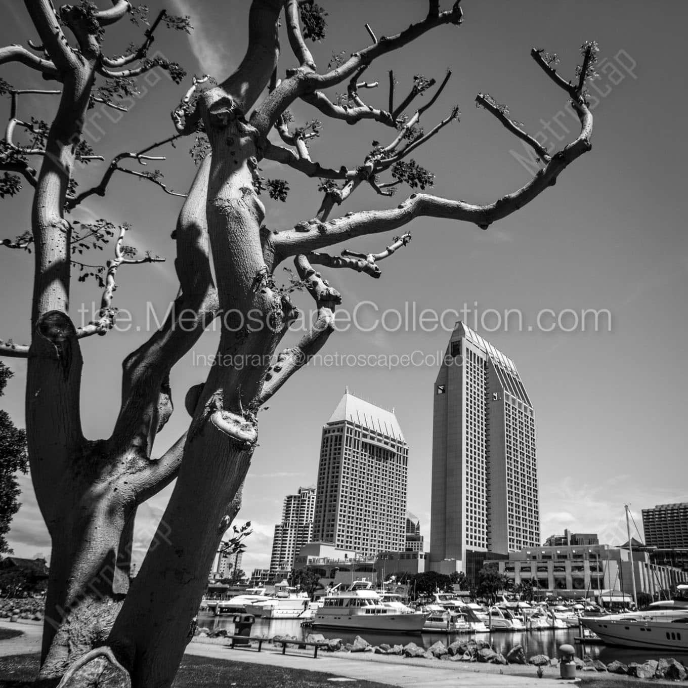 The San Diego Marina Wall Art square crop