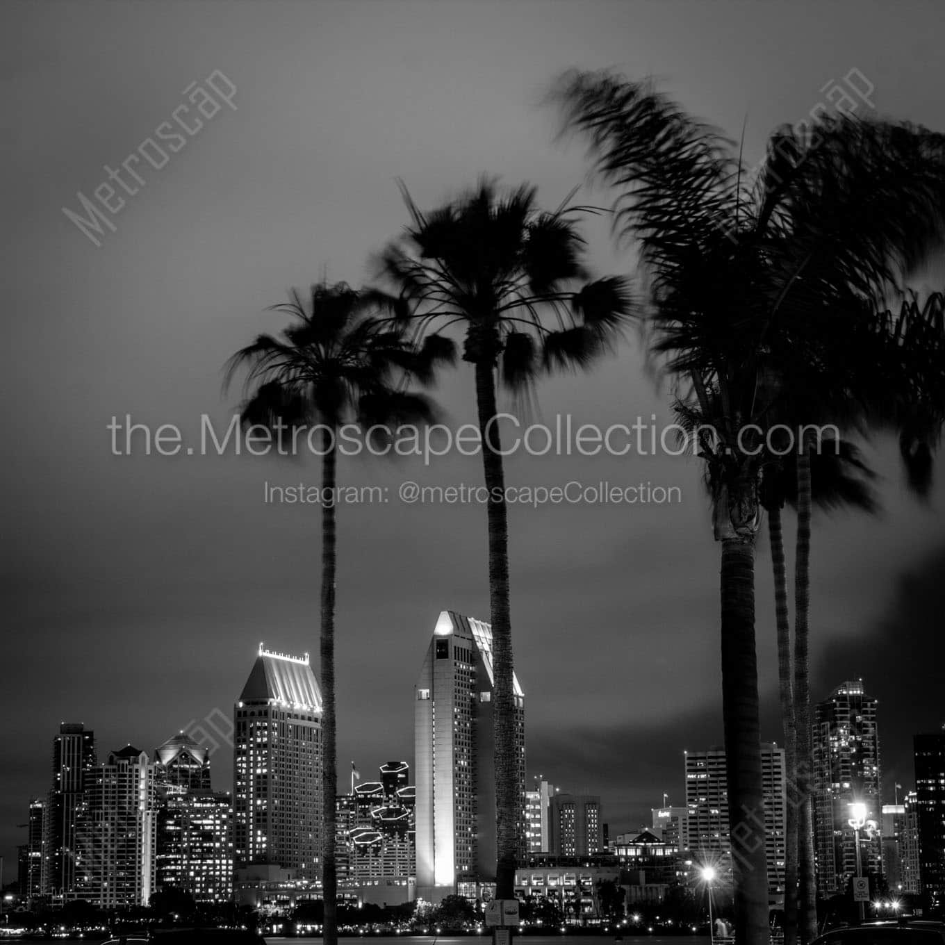 The San Diego Skyline with Palm Trees Wall Art square crop